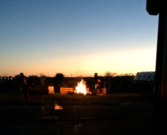Bonfire out back where guests can sit back with a drink after dinner
